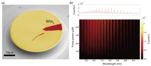 High-Q optical microresonators functionalized with two-dimensional material