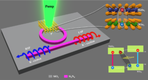 A photonic integrated chip platform for interlayer exciton valley routing