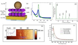 Plasmonic nanocavity enhanced luminescence for in-plane and out-of-plane excitons in BA2PbI4 Ruddlesden Popper perovskite thin film