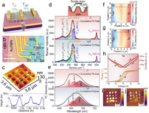 Electrostatically Controlled Pyrophototronic Effect in Strain‐Polarized WS2 for an Accident Alert System