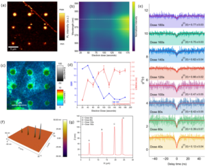 Deterministic single-photon sources in hexagonal boron nitride with electron-dose-tuned purity and reversible thermal quenching
